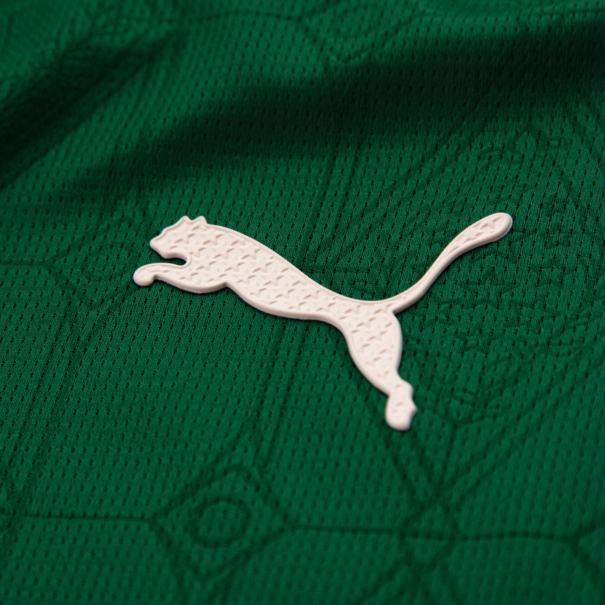 Palmeiras 2025-26 Home Jogador Jersey