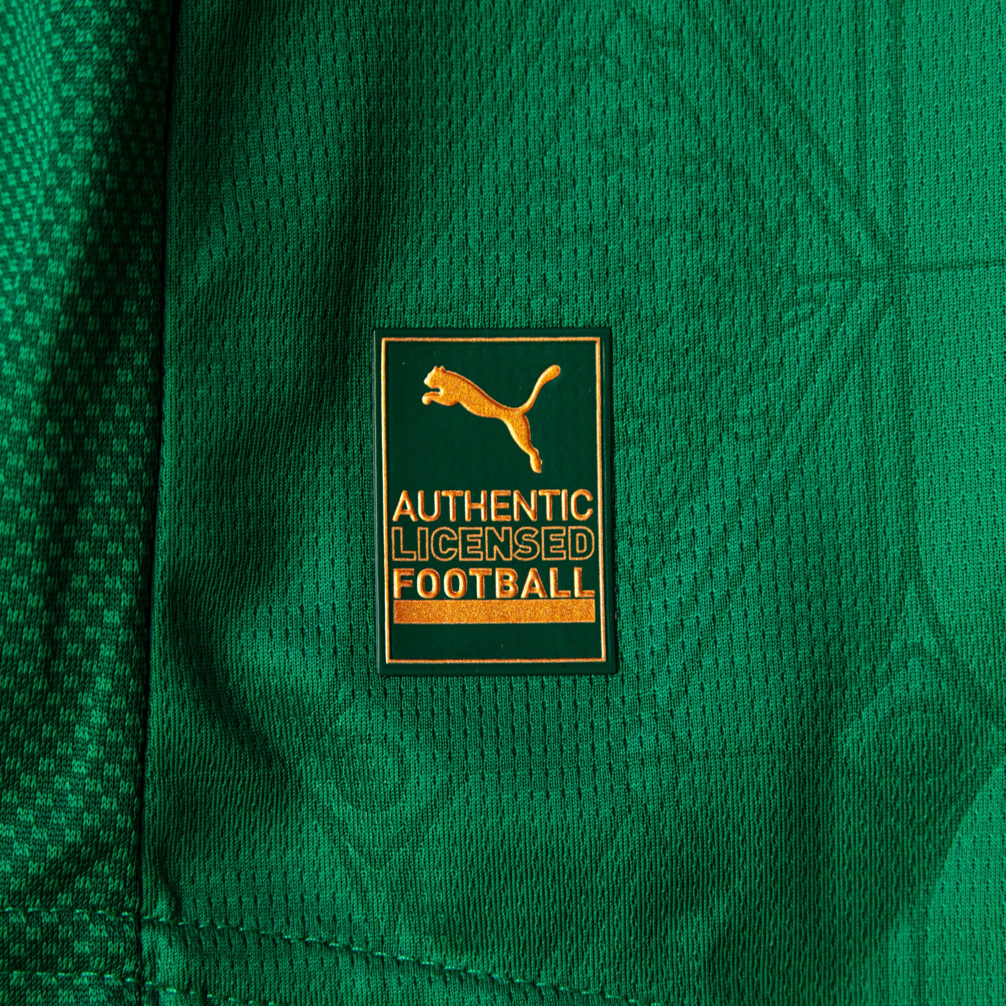Palmeiras 2025-26 Home Jogador Jersey