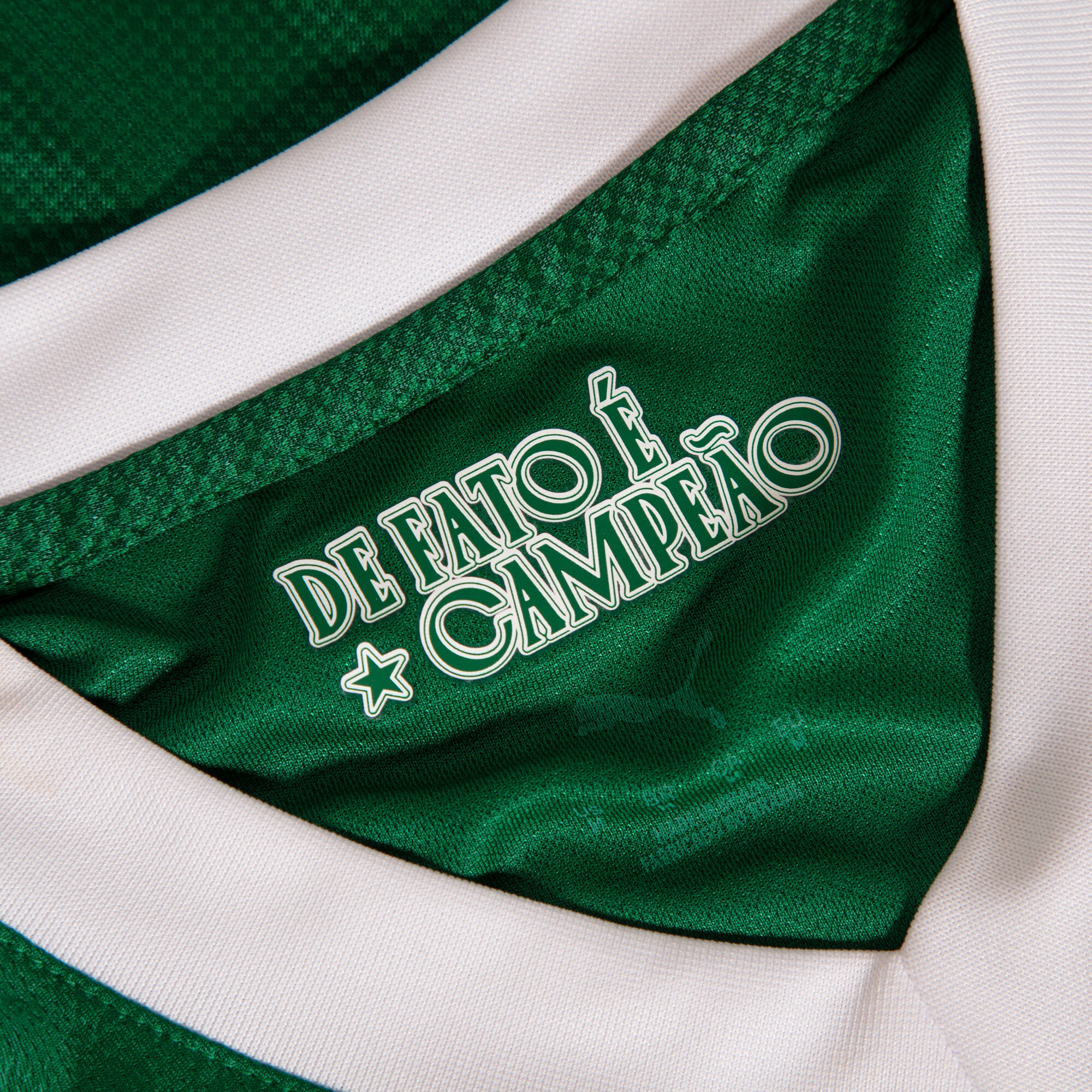 Palmeiras 2025-26 Home Jogador Jersey