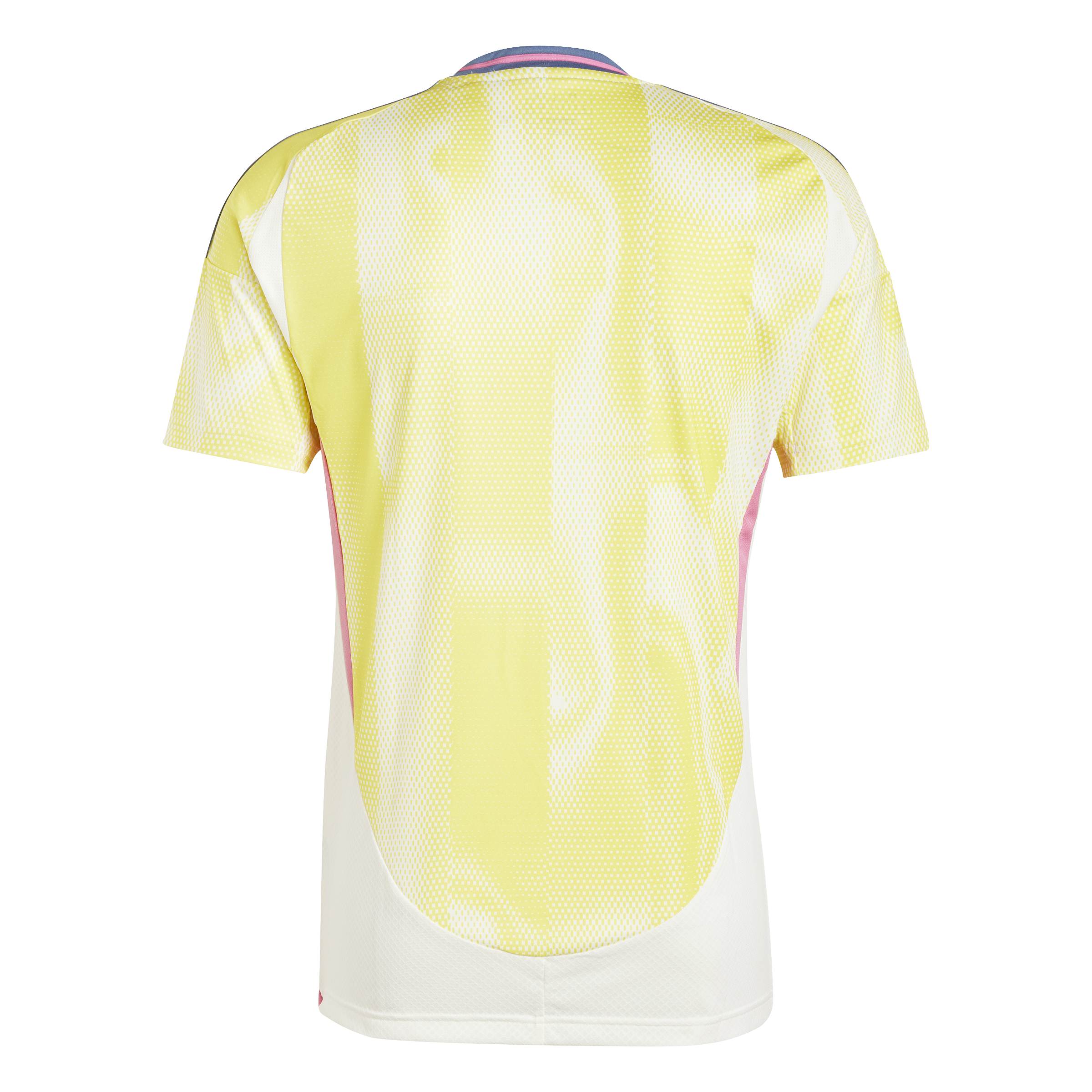 Juventus 24/25 Away Jersey