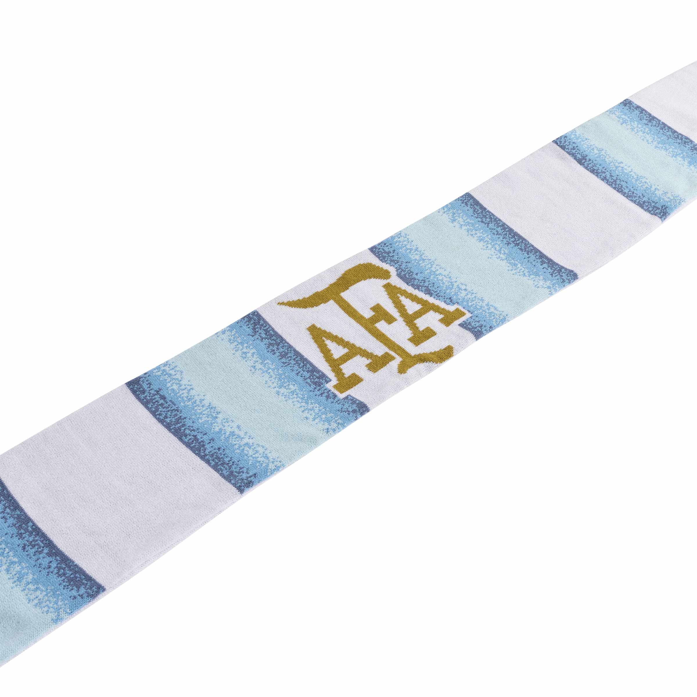 Argentina 26 Scarf
