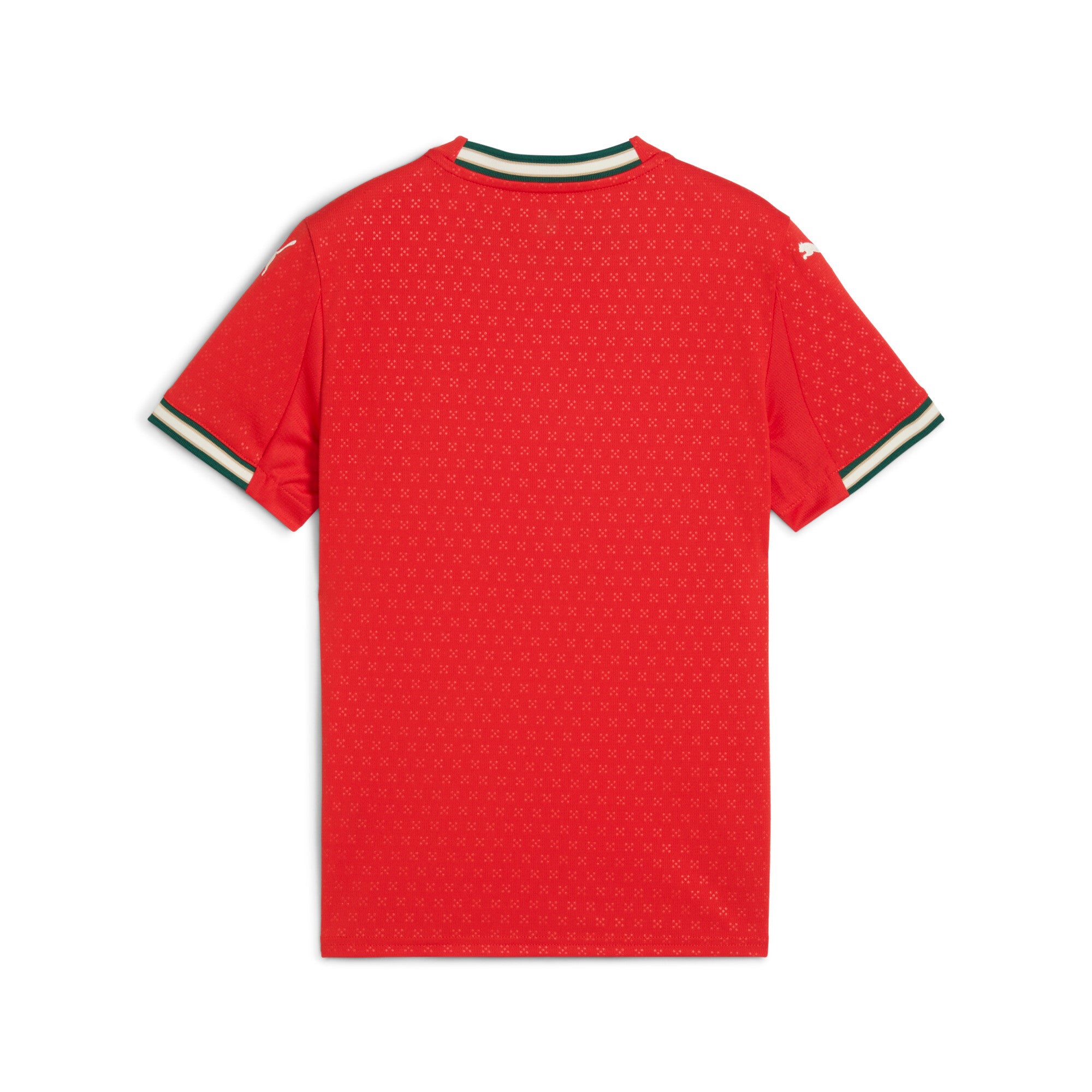 Portugal 2025 Youth Home Jersey