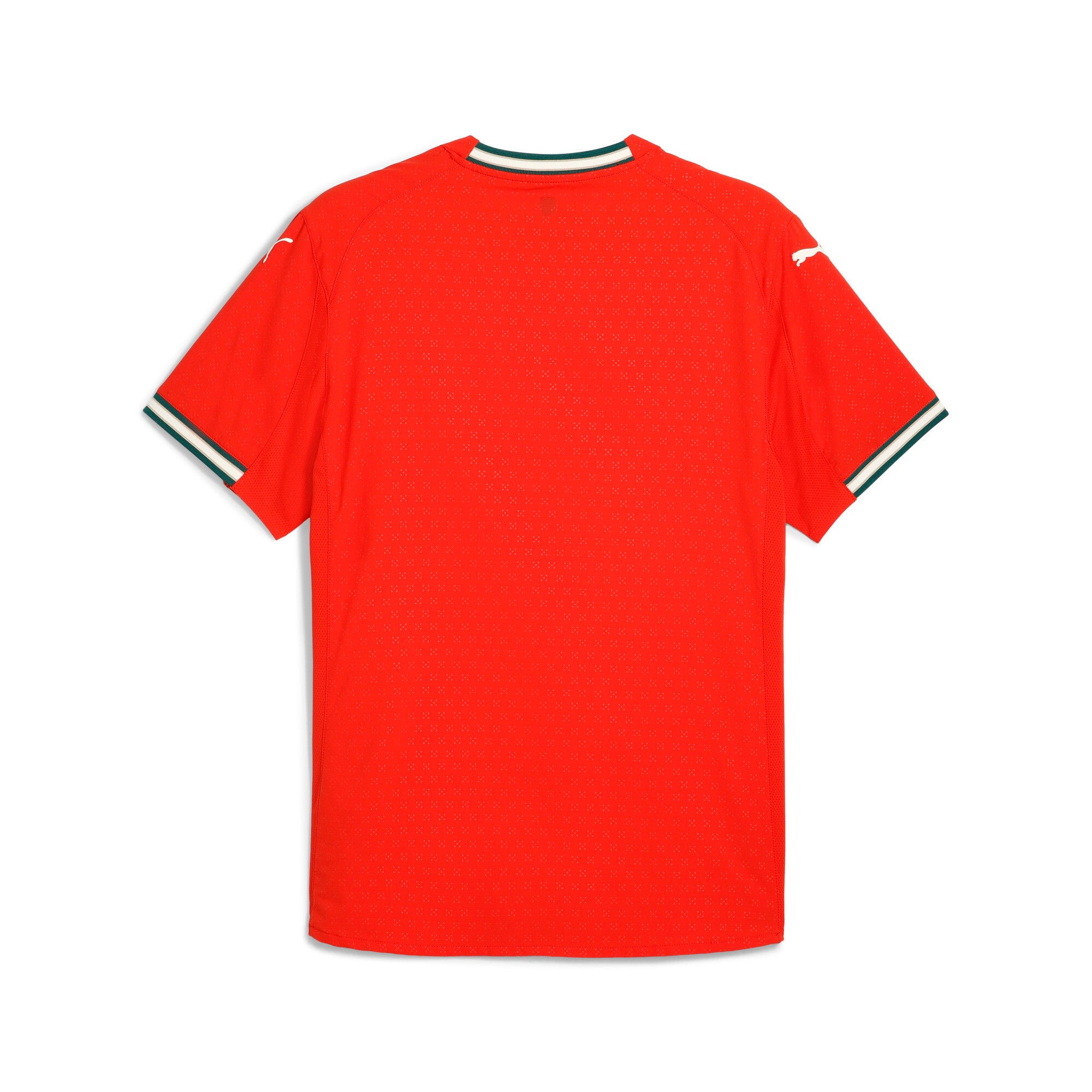 Portugal 2025 Match Home Jersey