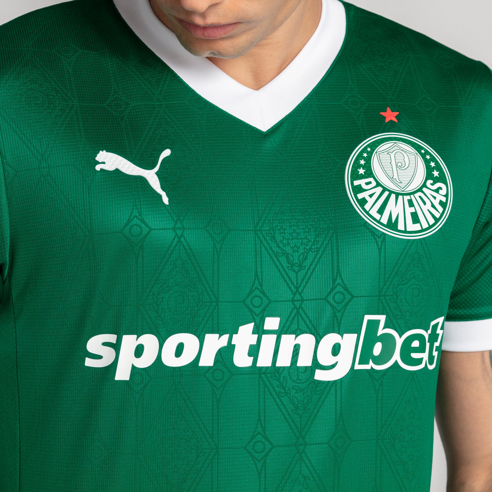 Palmeiras 2025-26 Home Jogador Jersey