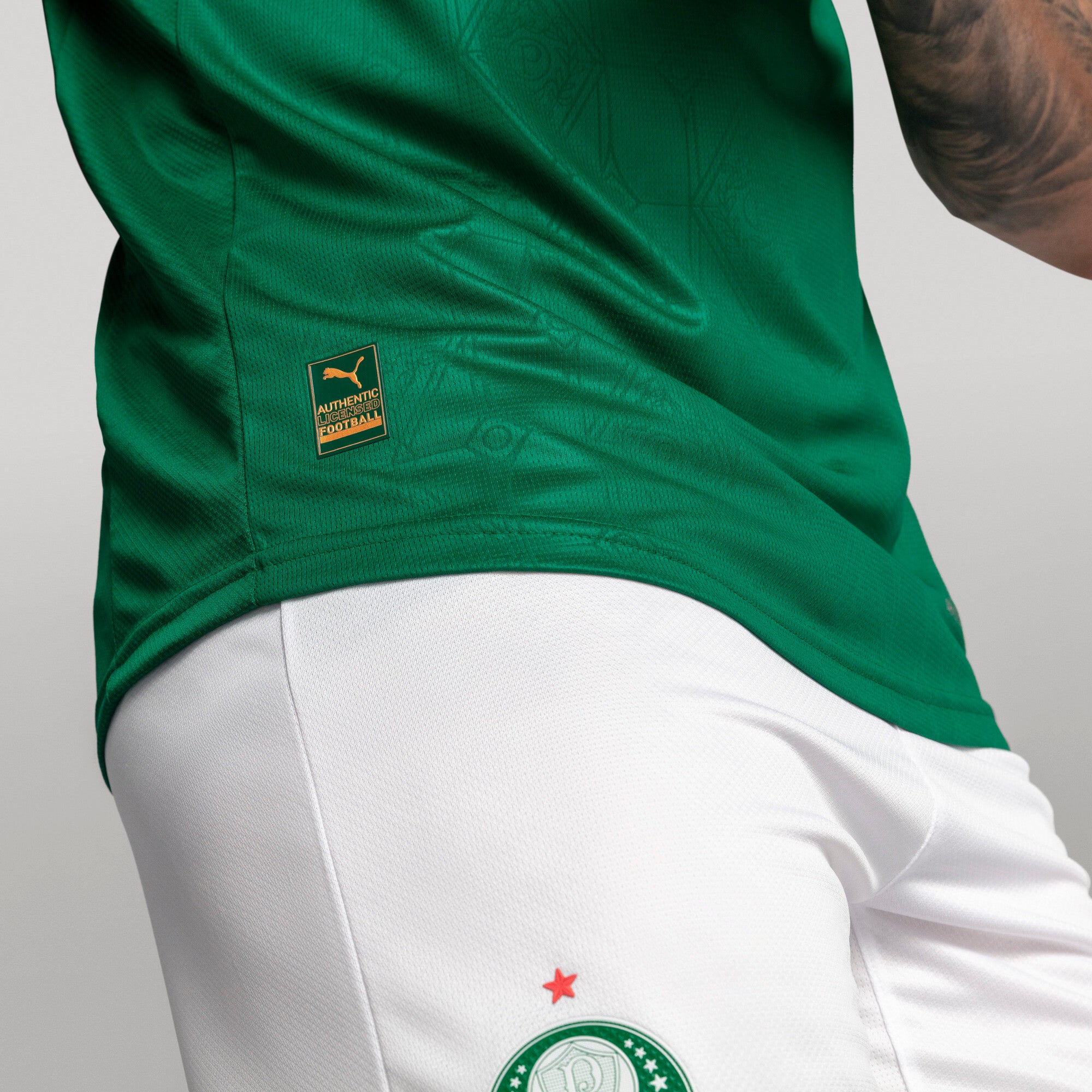 Palmeiras 2025-26 Home Jogador Jersey