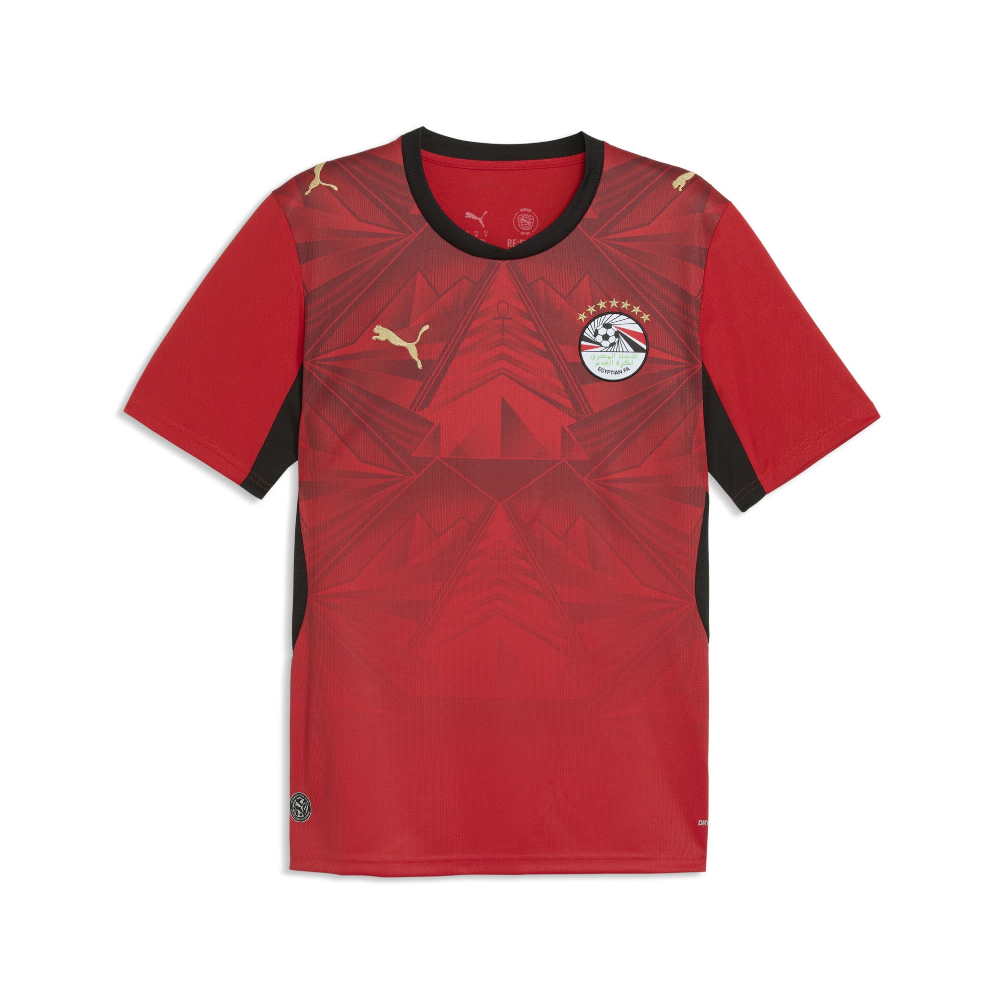 Egypt 2026 Home Men's Puma Jersey