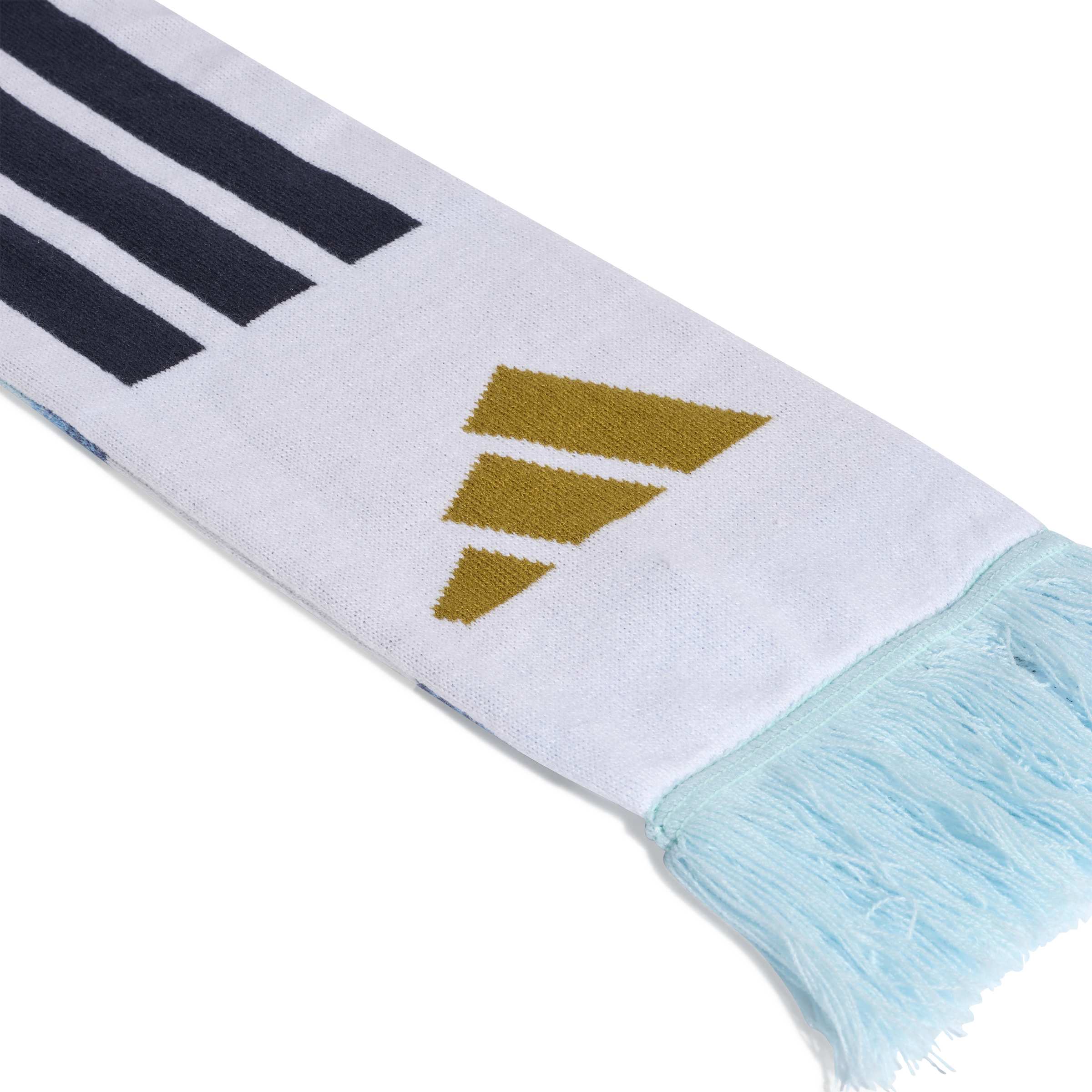 Argentina 26 Scarf
