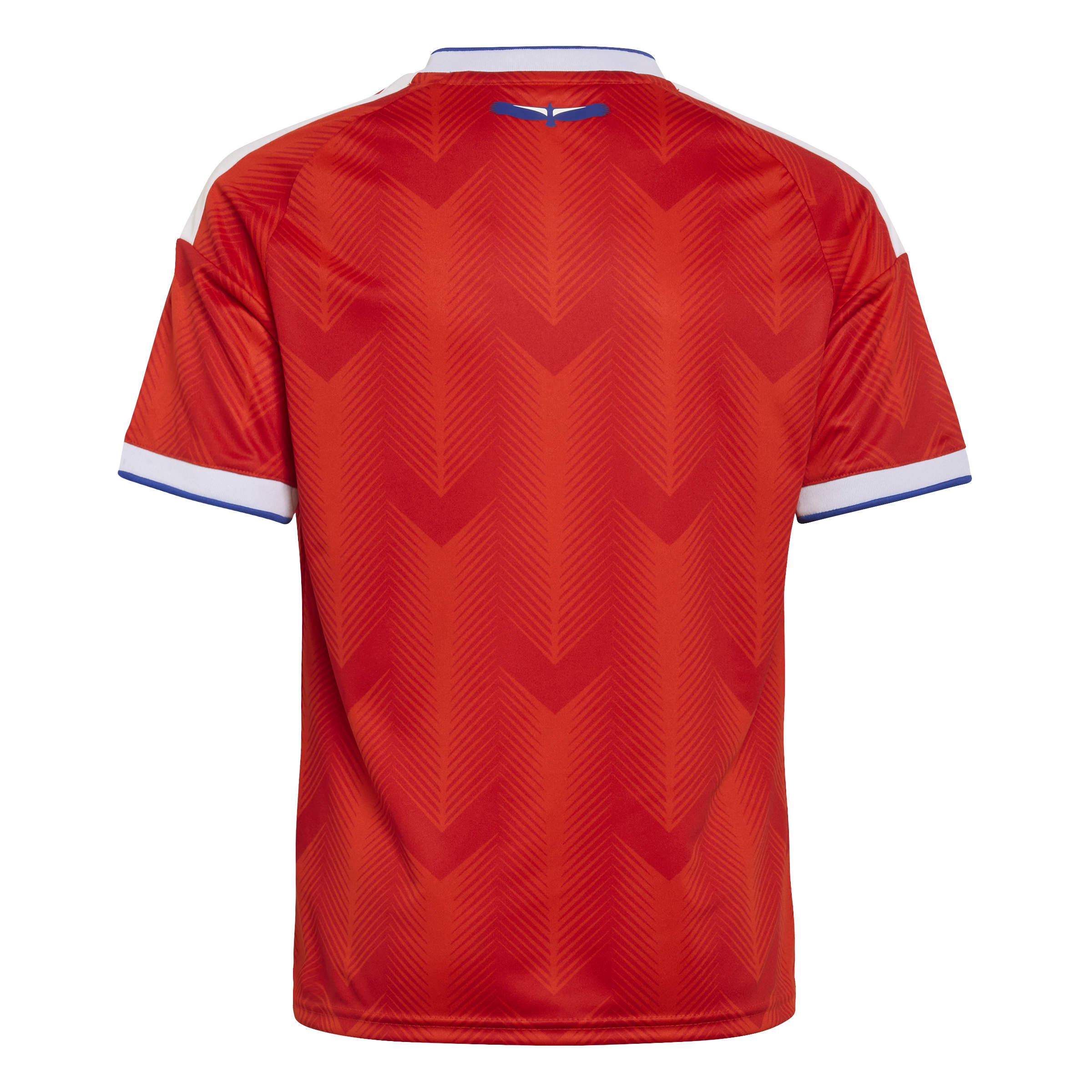 Chile 2026 Youth Home Jersey